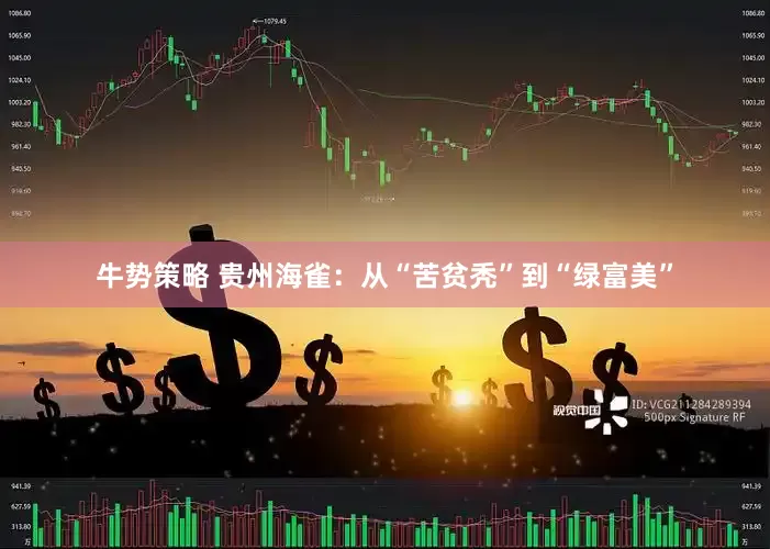 牛势策略 贵州海雀:从“苦贫秃”到“绿富美”