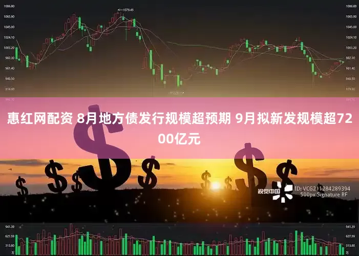 惠红网配资 8月地方债发行规模超预期 9月拟新发规模超7200亿元
