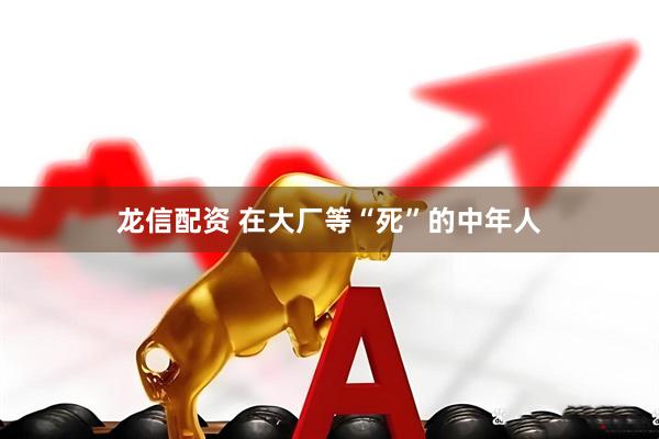 龙信配资 在大厂等“死”的中年人