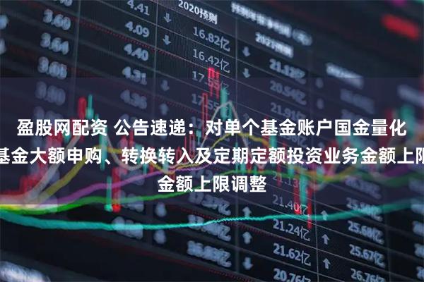 盈股网配资 公告速递:对单个基金账户国金量化精选基金大额申购、转换转入及定期定额投资业务金额上限调整